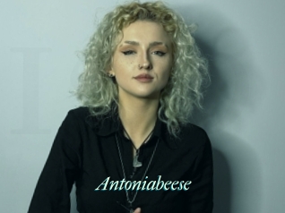 Antoniabeese