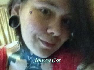 Buzzy_Cat