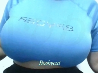 Boobycat