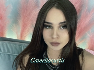 Cameliacurtis