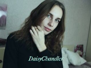 Daisy_Chandler