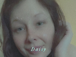 D_a_i_s_y