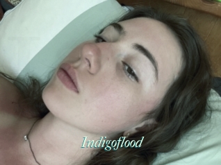 Indigoflood