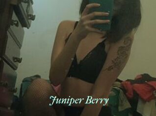 Juniper_Berry