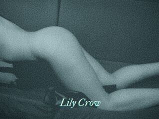 Lily_Crow