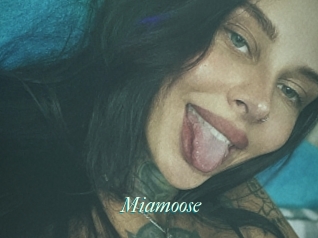 Miamoose