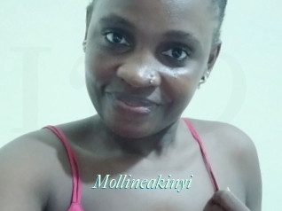 Mollineakinyi