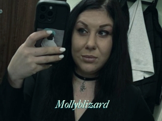 Mollyblizard