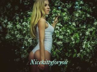 Nicekittyforyou