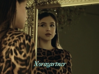 Noragartner