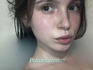 Pettitekitty1107