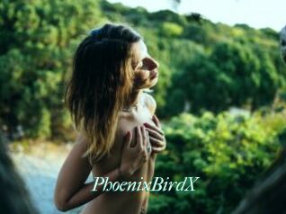 PhoenixBirdX