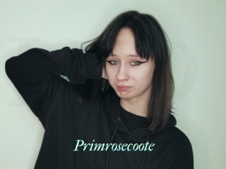 Primrosecoote