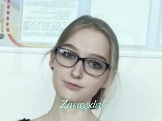 Zaragodsil